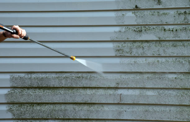 Reliable Pinckney, MI Pressure Washing Services Solutions